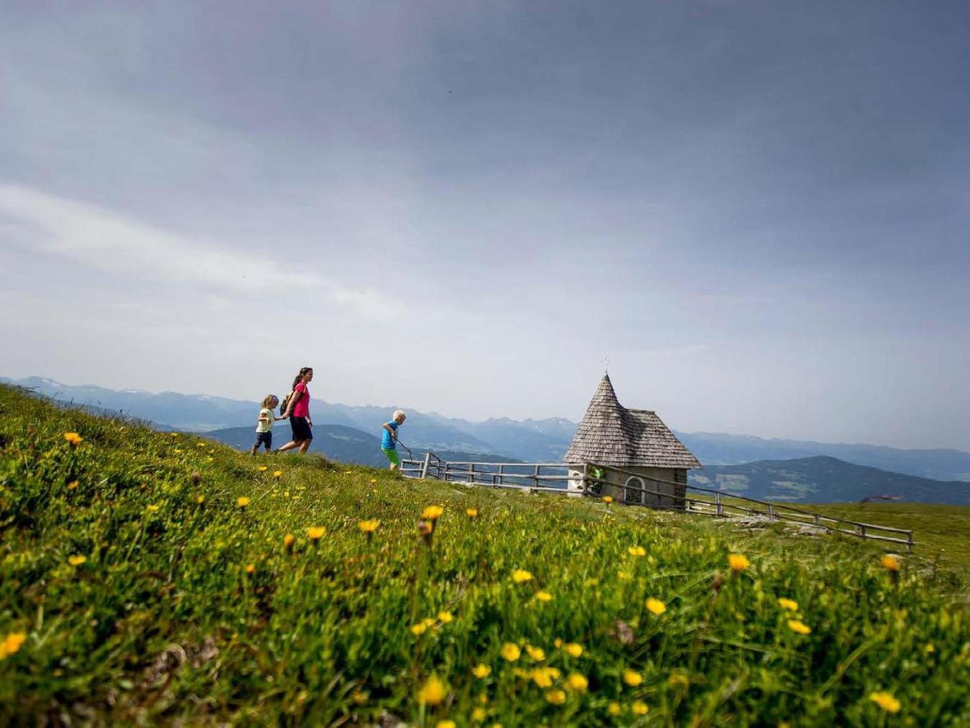 Goldstern Villa Sankt Lorenzen ob Murau Dış mekan fotoğraf